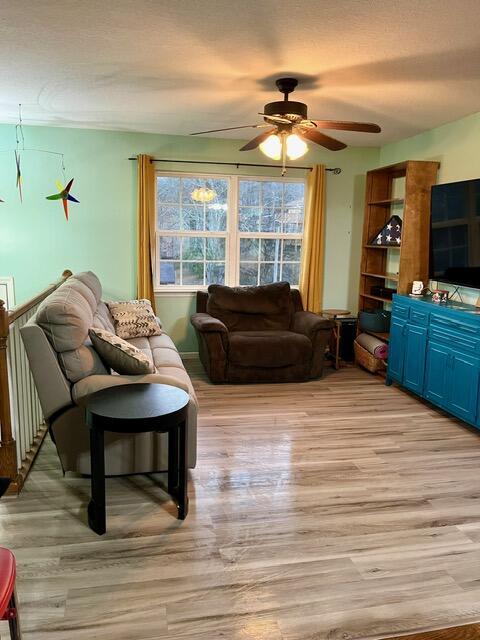 living room featuring ceiling fan, light hardwood / wood-style floors, and a textured ceiling