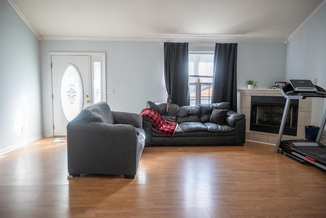 living room featuring a fireplace, light hardwood / wood-style flooring, and a healthy amount of sunlight