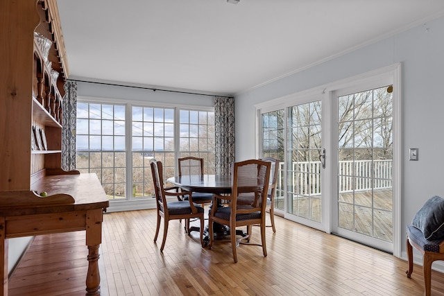 dining room featuring ornamental molding and light wood-type flooring