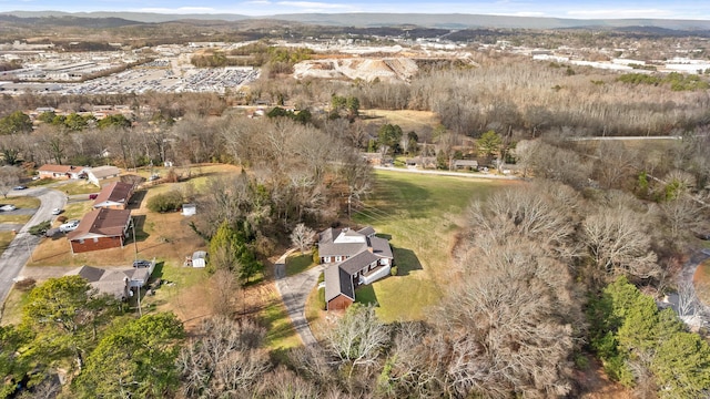 bird's eye view featuring a mountain view