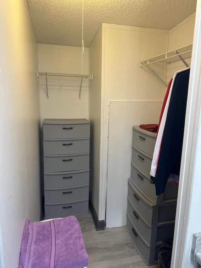 spacious closet with wood-type flooring