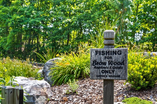 63 Brow Wood Ln Unit B-21, Lookout Mountain, GA 30750