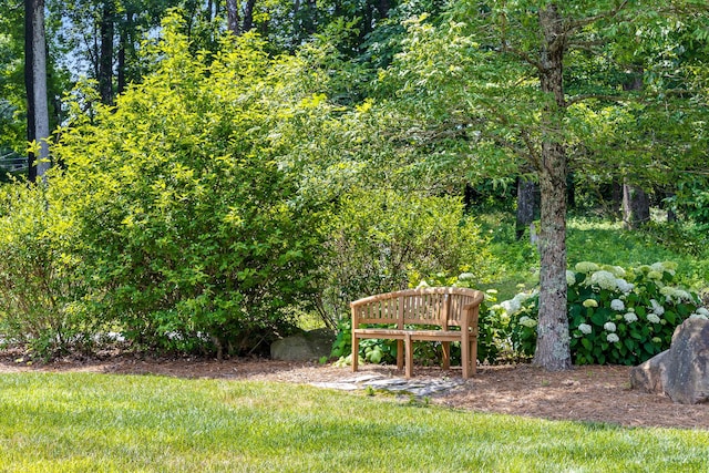 63 Brow Wood Ln Unit B-21, Lookout Mountain, GA 30750