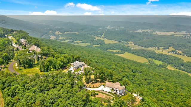 63 Brow Wood Ln Unit B-21, Lookout Mountain, GA 30750