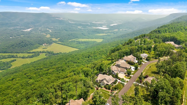 63 Brow Wood Ln Unit B-21, Lookout Mountain, GA 30750