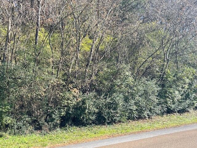 0 Signal Mountain Rd, Chattanooga TN, 37405 land for sale