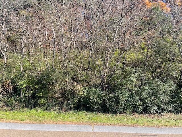 Listing photo 2 for 0 Signal Mountain Rd, Chattanooga TN 37405