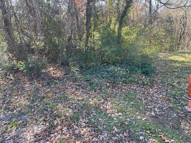 0 Alden Ave, Chattanooga TN, 37405 land for sale