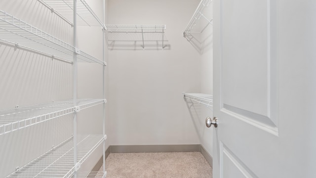 walk in closet with light carpet