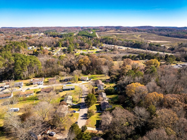 bird's eye view