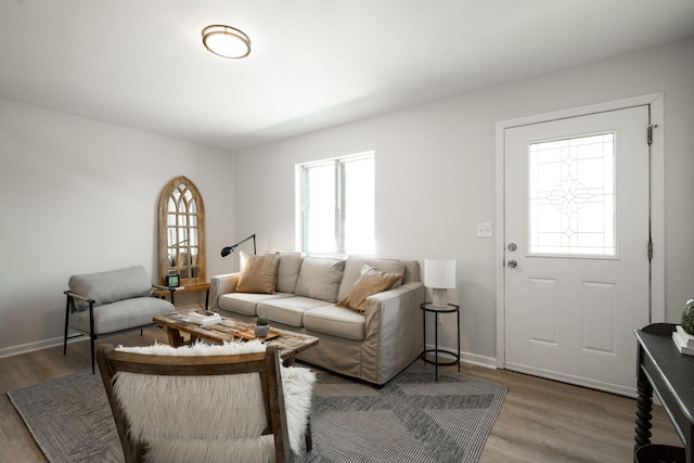 living room with a healthy amount of sunlight and hardwood / wood-style flooring