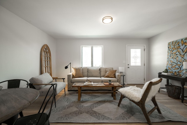 living room with hardwood / wood-style flooring