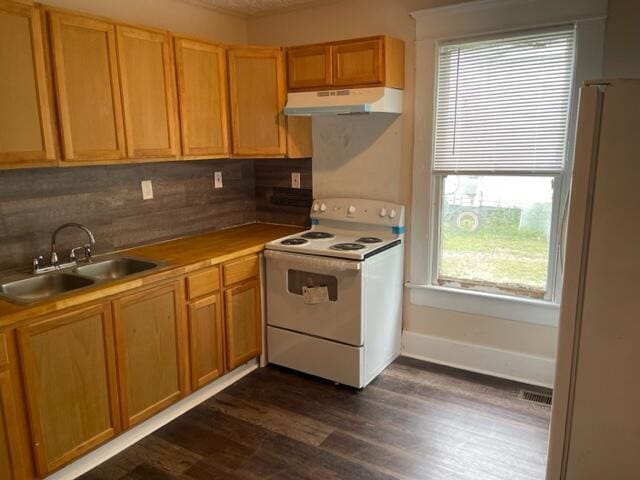 kitchen featuring tasteful backsplash, sink, white appliances, and dark hardwood / wood-style floors