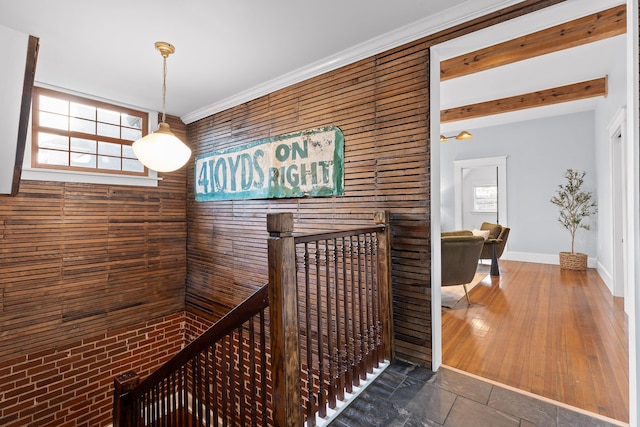 hall with dark hardwood / wood-style flooring and crown molding