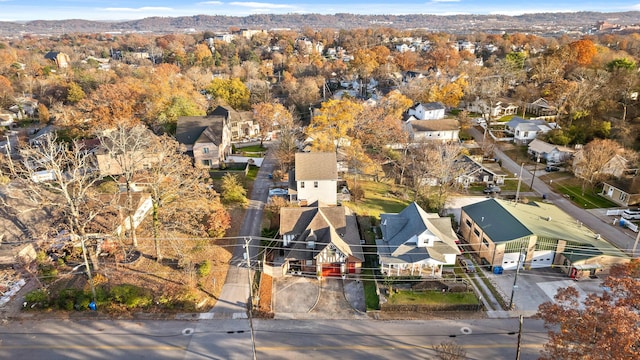 bird's eye view