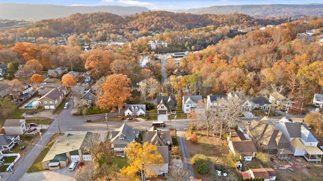 drone / aerial view