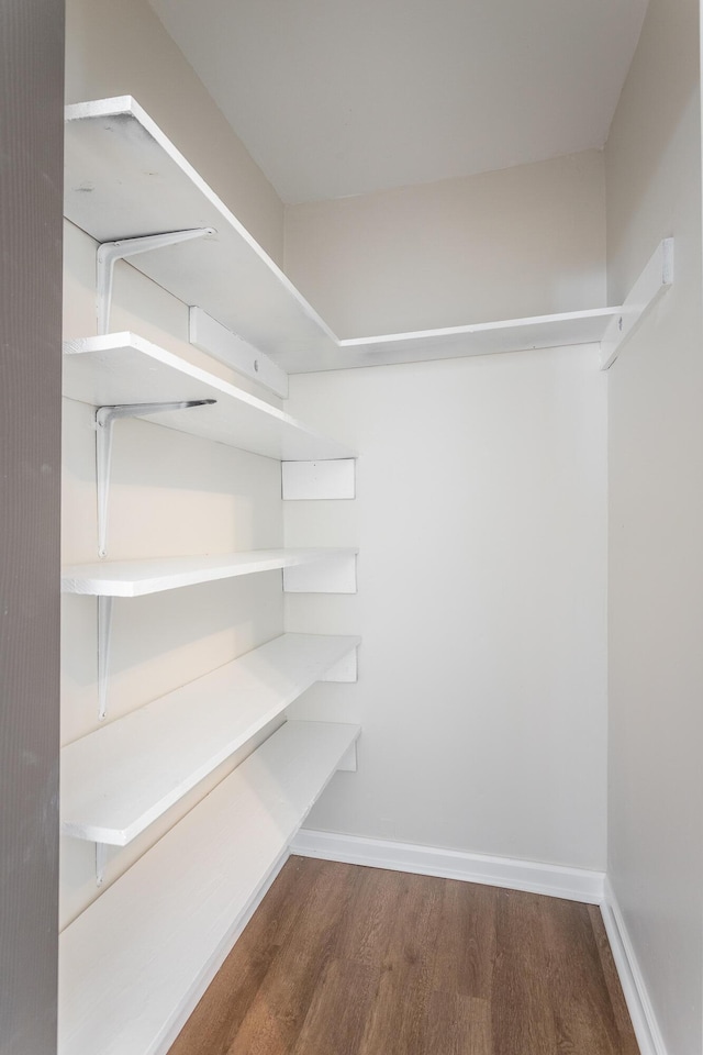 walk in closet with dark hardwood / wood-style flooring