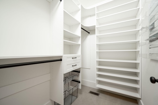 spacious closet with light carpet