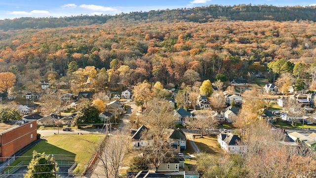 bird's eye view