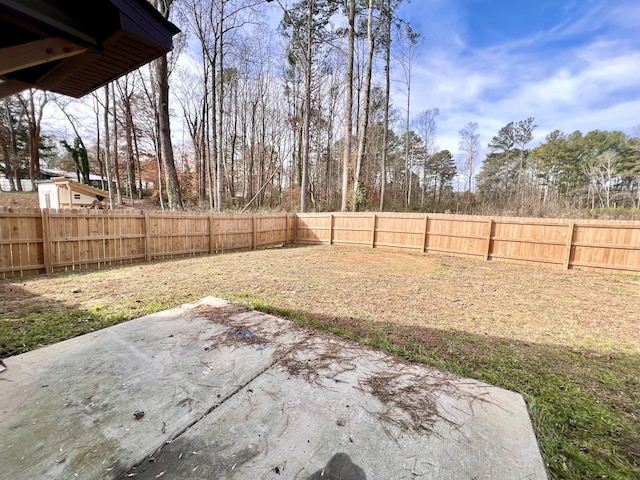 view of yard featuring a patio