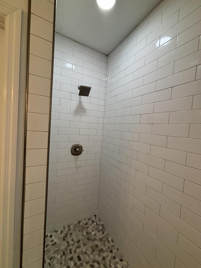 bathroom with a shower stall