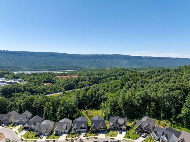 bird's eye view with a mountain view