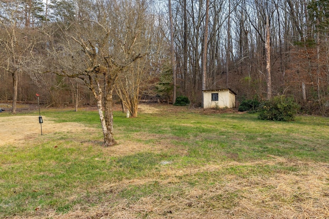 view of yard with a storage shed