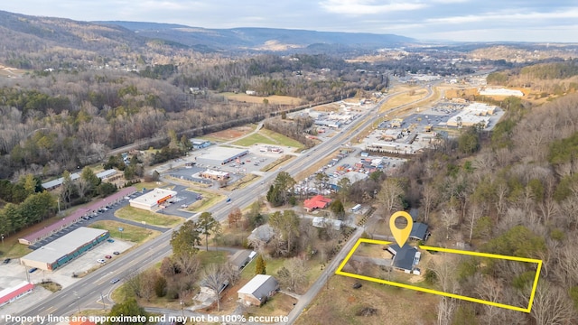 birds eye view of property featuring a mountain view