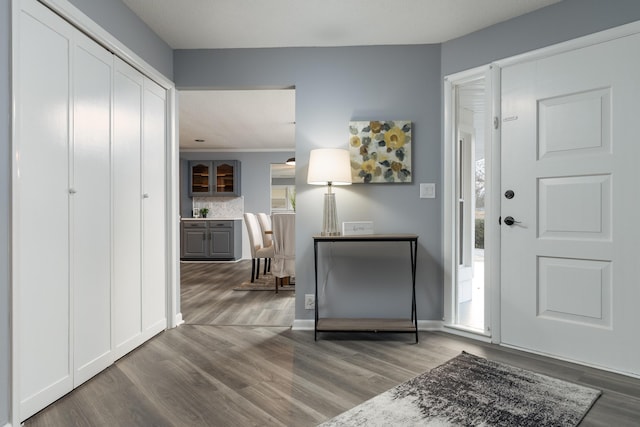 entrance foyer featuring dark hardwood / wood-style flooring