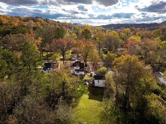 bird's eye view