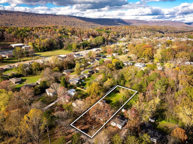 aerial view with a mountain view