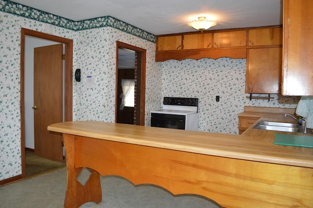 kitchen with butcher block countertops, sink, electric stove, and light carpet