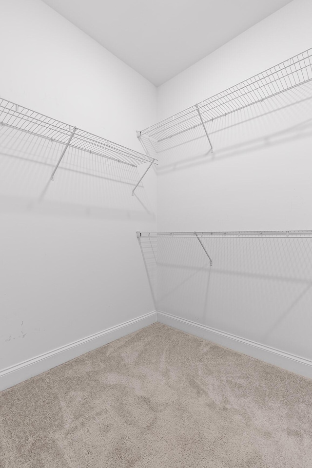 walk in closet featuring carpet