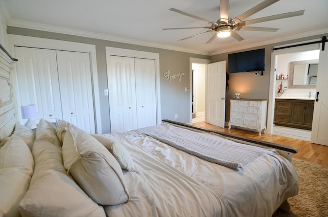 bedroom with ceiling fan, two closets, ornamental molding, and light hardwood / wood-style flooring