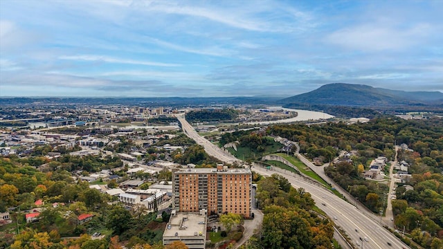 birds eye view of property featuring a mountain view