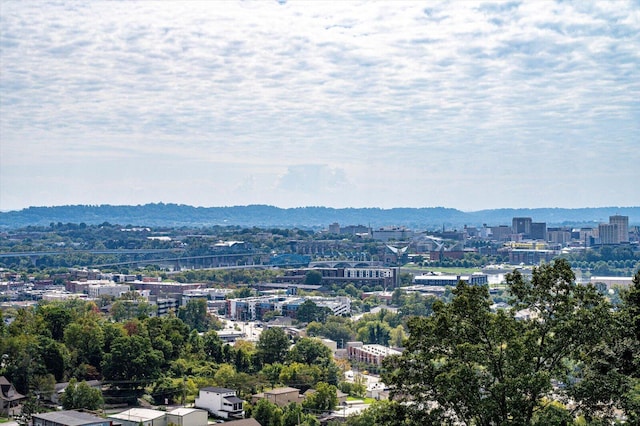 birds eye view of property with a mountain view