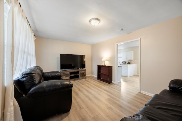 living room featuring light hardwood / wood-style floors