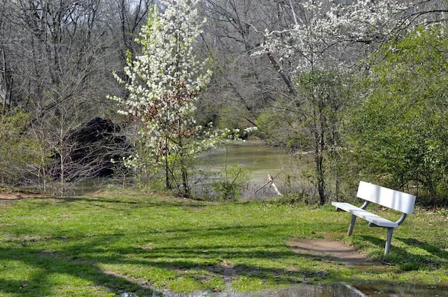 view of yard featuring a water view