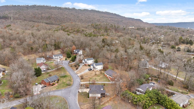 drone / aerial view featuring a mountain view