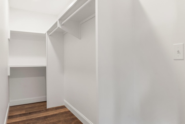 walk in closet featuring dark hardwood / wood-style flooring