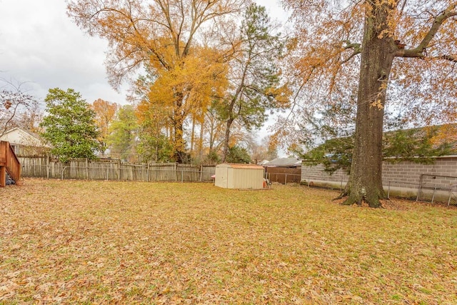 view of yard with a shed