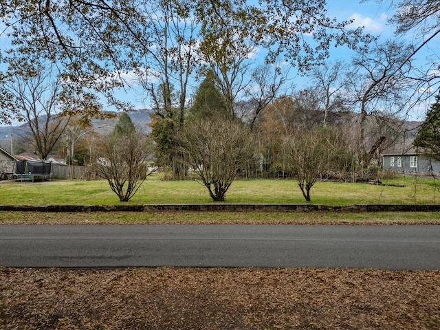 625 Dennis Ave, Jasper TN, 37347 land for sale