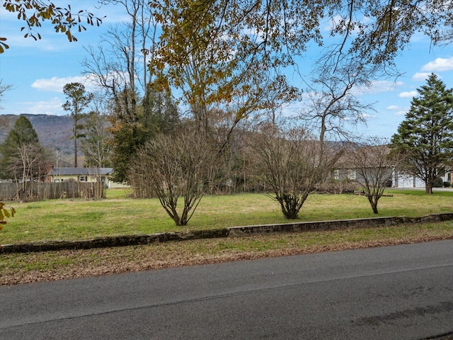 Listing photo 3 for 625 Dennis Ave, Jasper TN 37347