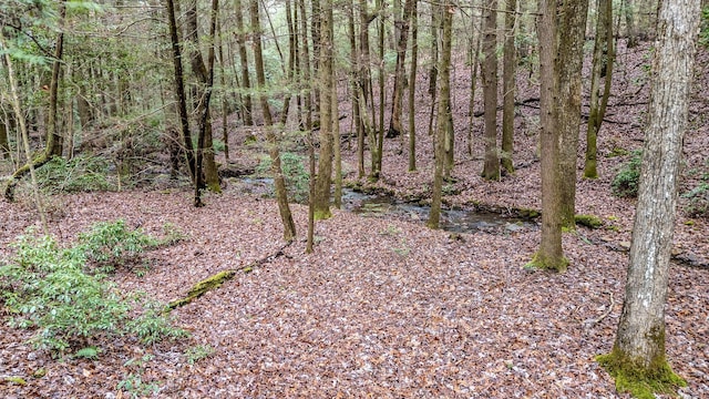 view of landscape