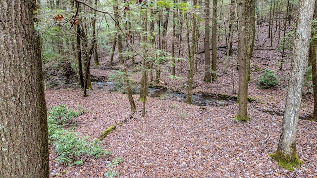 view of landscape