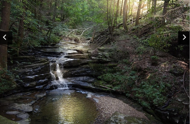 view of local wilderness