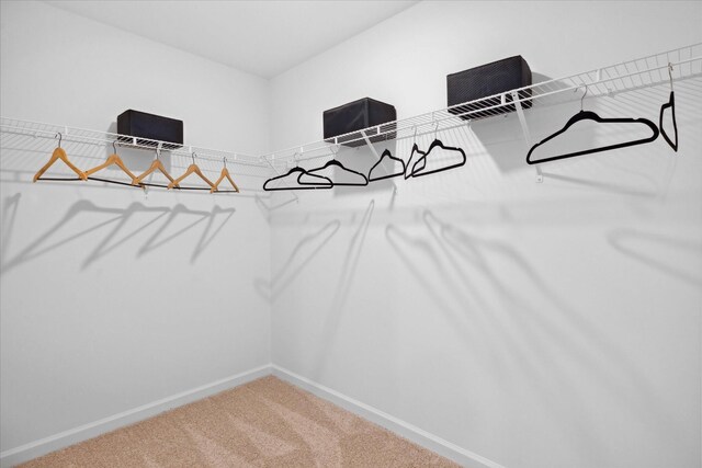 4203 Scenic Trl NE, Cleveland, TN 37323 - walk in closet with carpet floors