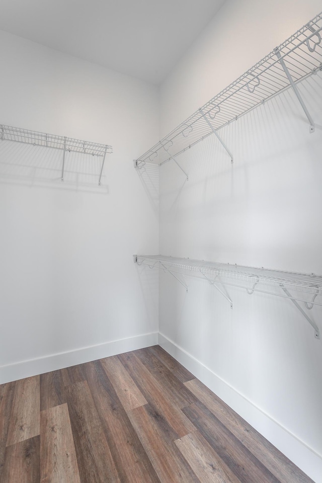 walk in closet featuring hardwood / wood-style floors