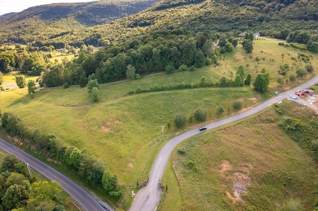 LOT29 Escape Dr, Evensville TN, 37332 land for sale