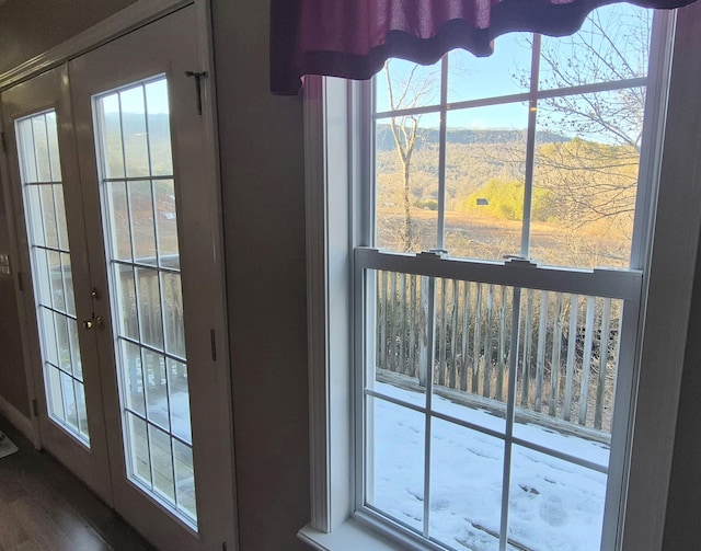 doorway with french doors, a wealth of natural light, and wood-type flooring